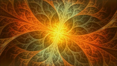 Wie ein Drogen-Guru in der Schweiz nach Anhängern fischt Wie ein Drogen-Guru in der Schweiz nach Anhängern fischt