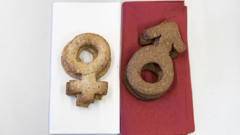 Mehr Frauen folgen dem Ruf der Helvetia