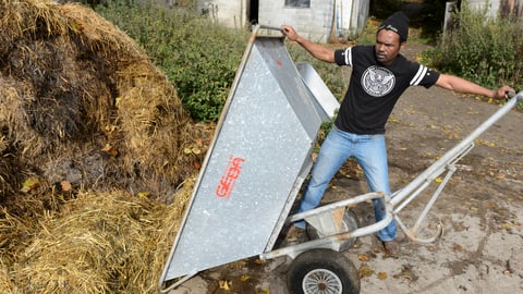 Flüchtlinge als Erntehelfer: Die Bauern wollen nicht Flüchtlinge als Erntehelfer: Die Bauern wollen nicht