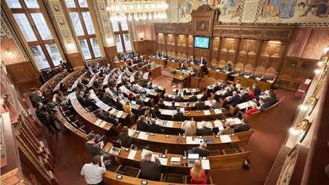 Basler Grosser Rat ruft den «Klimanotstand» aus