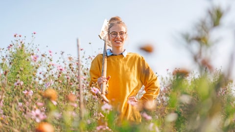 Israelische frauen flirten