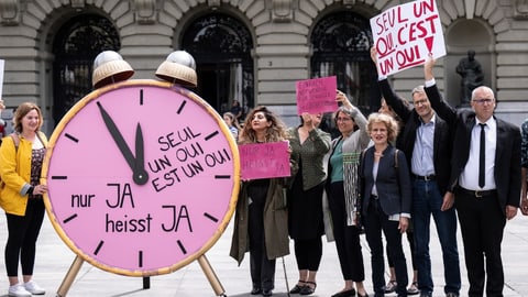Ständerat missachtet Meinung vieler Frauen-Organisationen