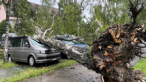  Gewitterstürme verursachen Schäden in Millionenhöhe