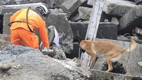 Experten stellen Schweizer Rettungskette schlechtes Zeugnis aus Experten stellen Schweizer Rettungskette schlechtes Zeugnis aus