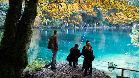 Kritik von Tierschützern an Blausee-Strafuntersuchung 