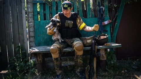 «Es herrscht eine gewisse Kriegsmüdigkeit» «Es herrscht eine gewisse Kriegsmüdigkeit»