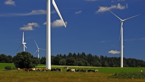 Naturschützer gibt seinen Kampf nicht auf