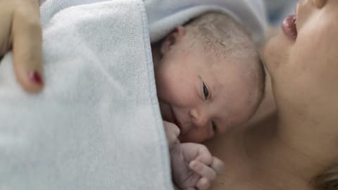 Der Nationalrat will die Eizellenspende legalisieren 