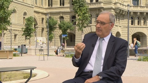 Der Bundespräsident stellt Gratis-Tests zur Diskussion