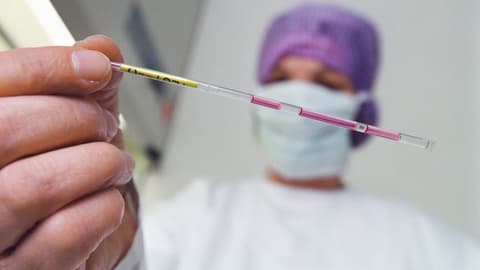 Grünliberale setzen auf Legalisierung der Eizellenspende