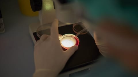 «Hinter den Spenderinnen stecken viele schwierige Geschichten»