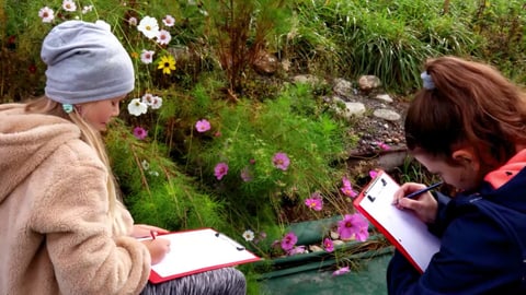 Biodiversität im Garten Naturwunder Gemüsegarten Die grosse Welt