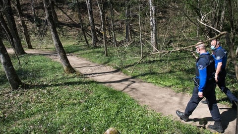 Es wird ein langer Weg Es wird ein langer Weg