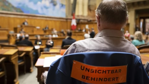 Parlamentarier: «Inklusion ist gut, solange sie nichts kostet»