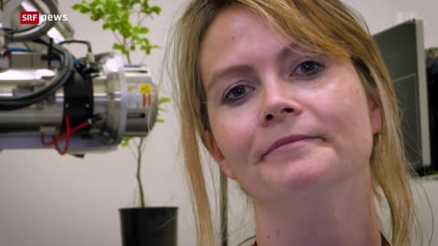 Den Wald für die Zukunft stärken Den Wald für die Zukunft stärken