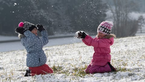 Run auf Adoptionsbehörde bleibt aus