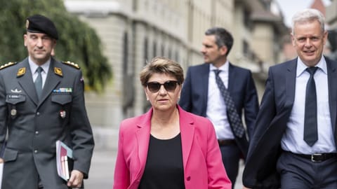 Das VBS selbst brachte Gegengeschäfte ins Rollen Das VBS selbst brachte Gegengeschäfte ins Rollen