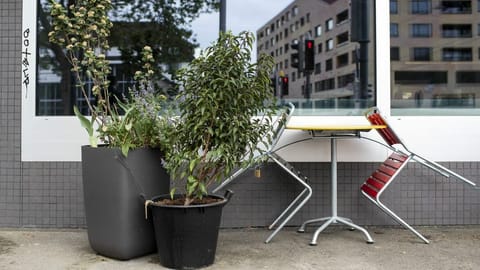 «Die Reproduktionszahl kann schnell wieder hochgehen» «Die Reproduktionszahl kann schnell wieder hochgehen»