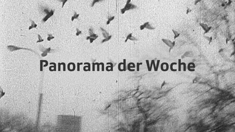 tagesschau wochenrГјckblick tagesschau wochenrГјckblick