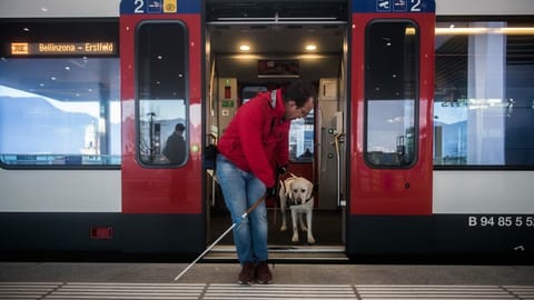 Eine Hunde-Preispolitik für die Katz?