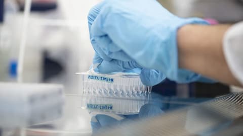 50 Millionen für die Suche nach dem rettenden Covid-Medikament 50 Millionen für die Suche nach dem rettenden Covid-Medikament