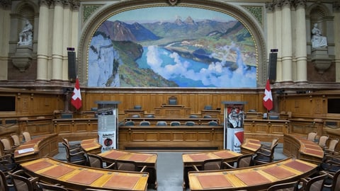 So tickt der neue Nationalrat
