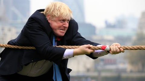 Der Spaltpilz Der Spaltpilz