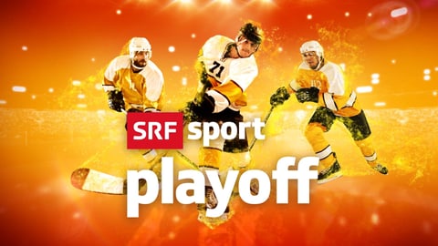 sf sport sf sport