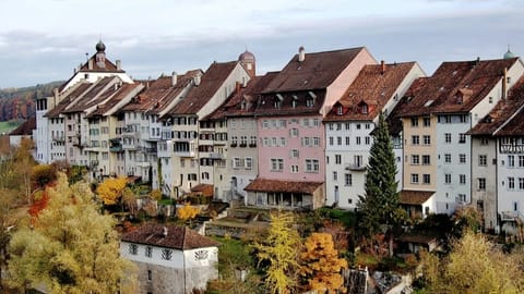 Auf öffentlichen Parkplätzen 30 Minuten gratis parkieren