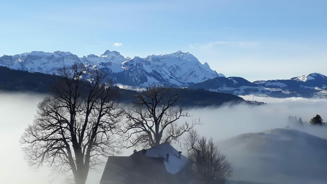 Blick von Gais über ein Nebelmeer zum Säntis. Blick von Gais über ein Nebelmeer zum Säntis.