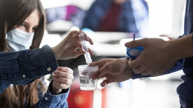 Eine Schüler schüttet die Salzlösung in einen Becher. Eine Schüler schüttet die Salzlösung in einen Becher.