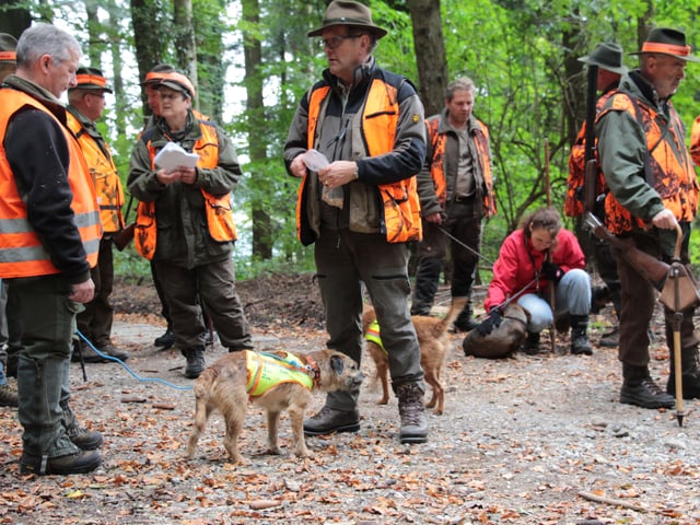 Jäger stehen in Leuchtwesten im Wald, bereit zum Abmarsch.