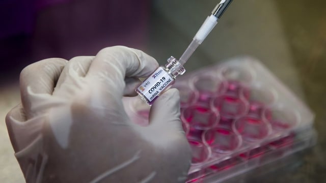 Eine behandschuhte Hand hält einen Coronavirus-Impfstoff samt Spritze. Eine behandschuhte Hand hält einen Coronavirus-Impfstoff samt Spritze.