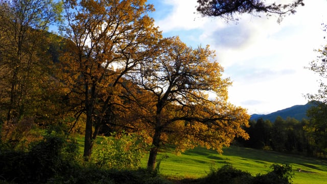 Herbststimmung bei Campodels. Herbststimmung bei Campodels.