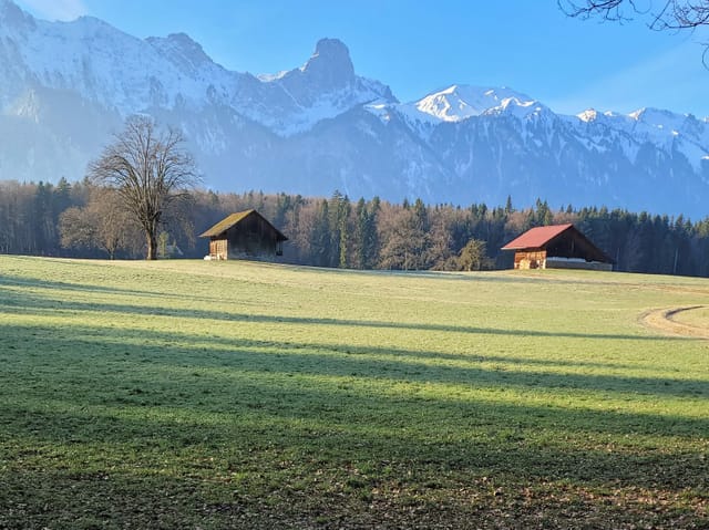 Grünes Tal, weisse Berge.