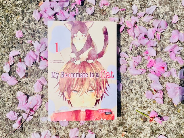 Der Manga «My Roomate is a Cat 1» von Tsunami Minatsuki und As Futatsuya liegt auf Kirschblüten