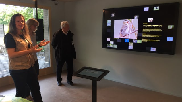 Ausstellung Ausstellung