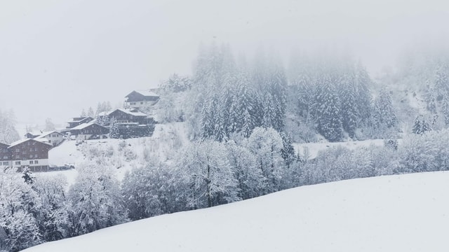 Blick auf verschneite Bäume und Chalets in Adelboden. Blick auf verschneite Bäume und Chalets in Adelboden.