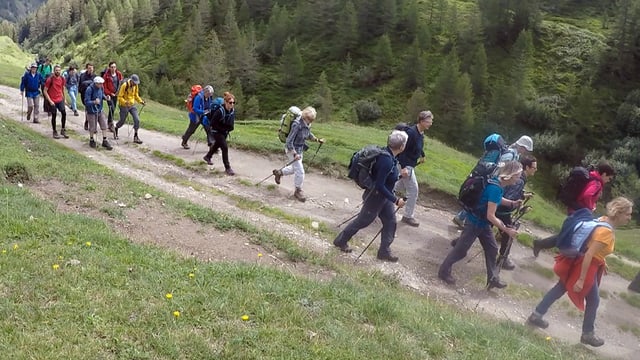 Eine Wandergruppe. Eine Wandergruppe.