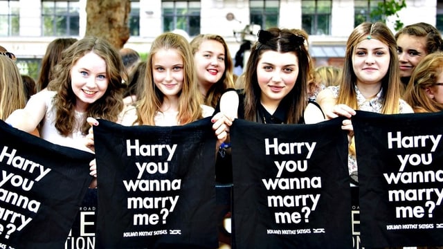 Der typische Harry Styles Fan Der typische Harry Styles Fan