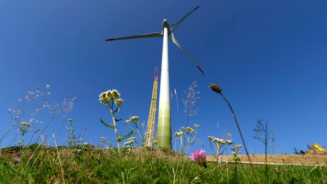 Windrad auf der grünen Wiese Windrad auf der grünen Wiese