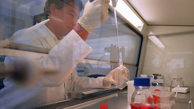 berna biotech. berna biotech.