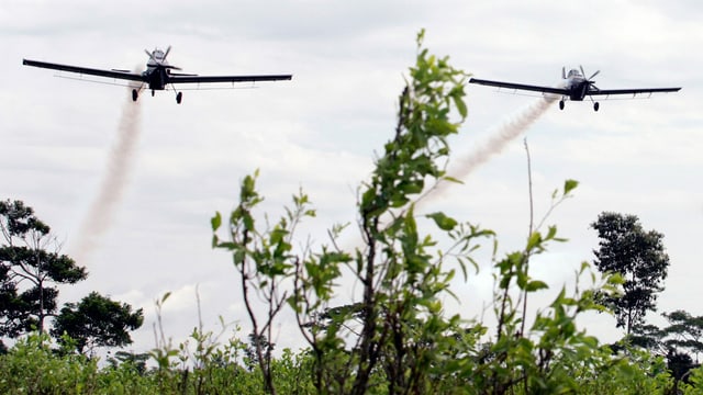Sprüh-Flugzeuge in Kolumbien. Sprüh-Flugzeuge in Kolumbien.