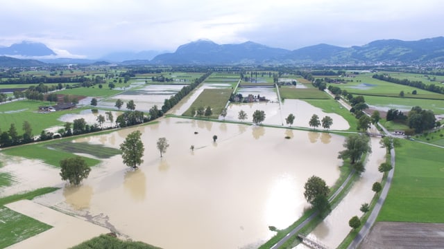 Überschwemmte Felder im St. Galler Rheintal am Samstag. Überschwemmte Felder im St. Galler Rheintal am Samstag.