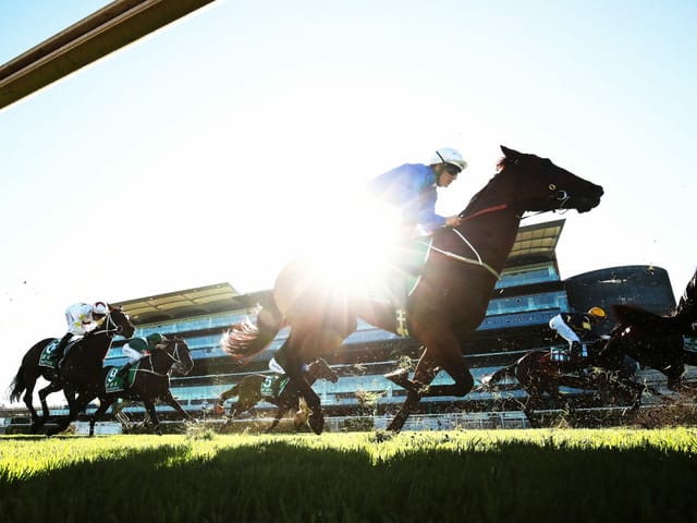 In Sydney fanden über das Wochenende die Rennen auf der Royal-Randwick-Rennbahn trotz Coronavirus statt.