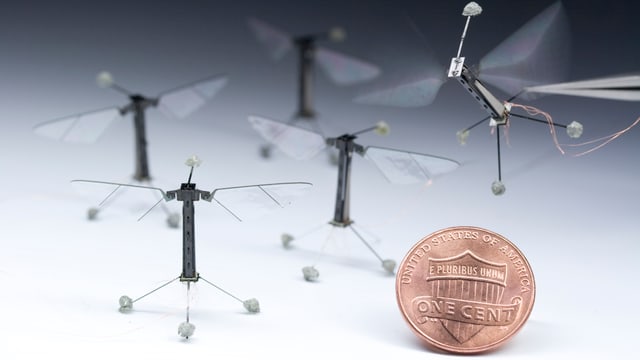 Die Drohnen im Vergleich zu einem One-Cent-Stück Die Drohnen im Vergleich zu einem One-Cent-Stück