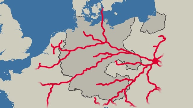 Liniengeflecht Liniengeflecht