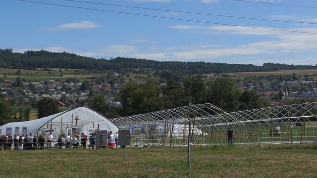 Wiese mit weissem Zelt. Wiese mit weissem Zelt.