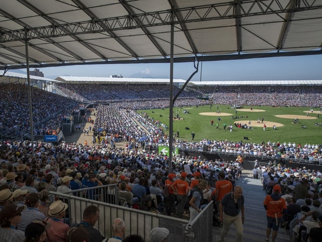 Ein Bild vom Eidgenössischen Schwingfest 2019 in Zug. Ein Bild vom Eidgenössischen Schwingfest 2019 in Zug.