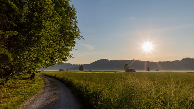 Sonnenaufgang im Gürbental mit etwas Bodendunst Sonnenaufgang im Gürbental mit etwas Bodendunst